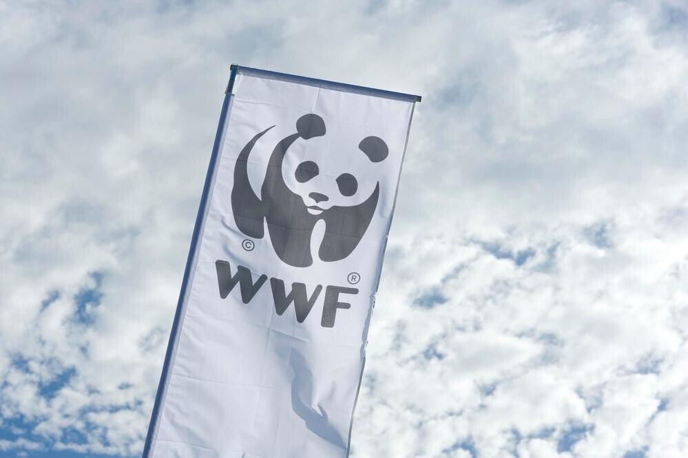 WWF - szansa dla przyrody, szansa dla planety