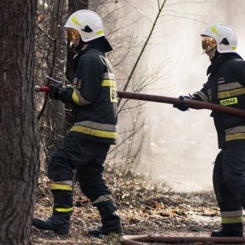 Rośnie ryzyko pożarów - zobacz jak bezpiecznie zachowywać się w lesie