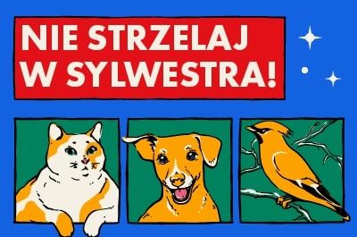 #WarszawaNieStrzela – po raz czwarty