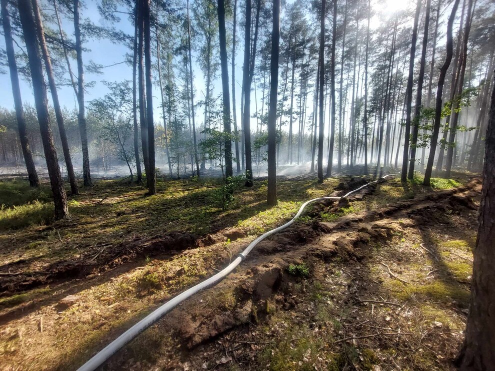 Pożar w Mazowieckim Parku Krajobrazowym